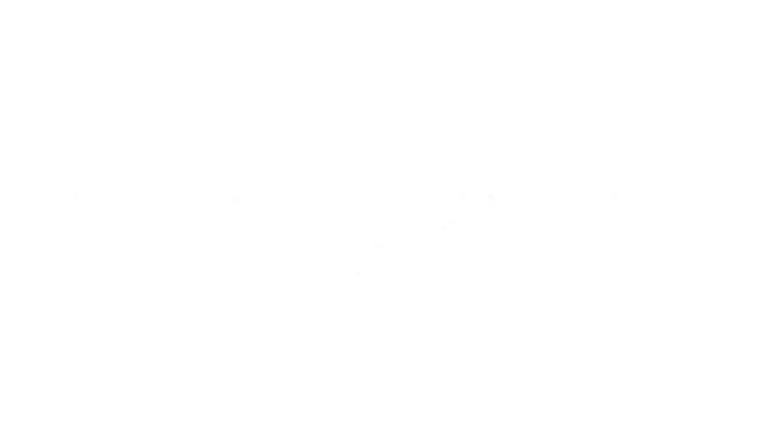 Streaming channel network partner icon 14